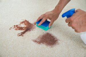 carpet stain removal guide 10 stains diy