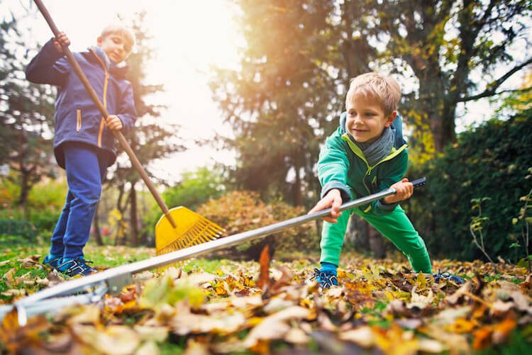Little boys raking autumn leaves. Two brothers aged 7 are helping to clean autumn leaves from the garden lawn.