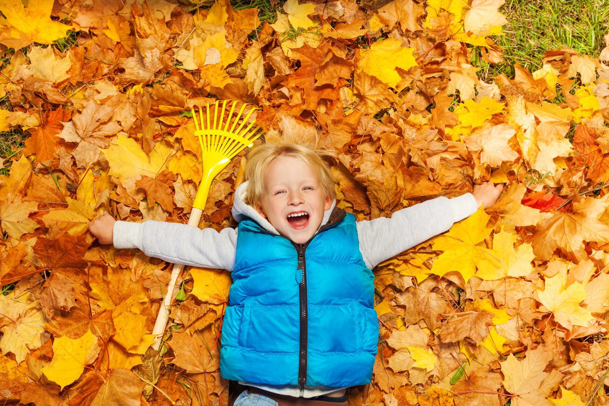 Laughing boy laying on the autumn leaves with rake near, view from top during daytime in autumn