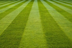 Erie, CO Commercial Lawn Mowing