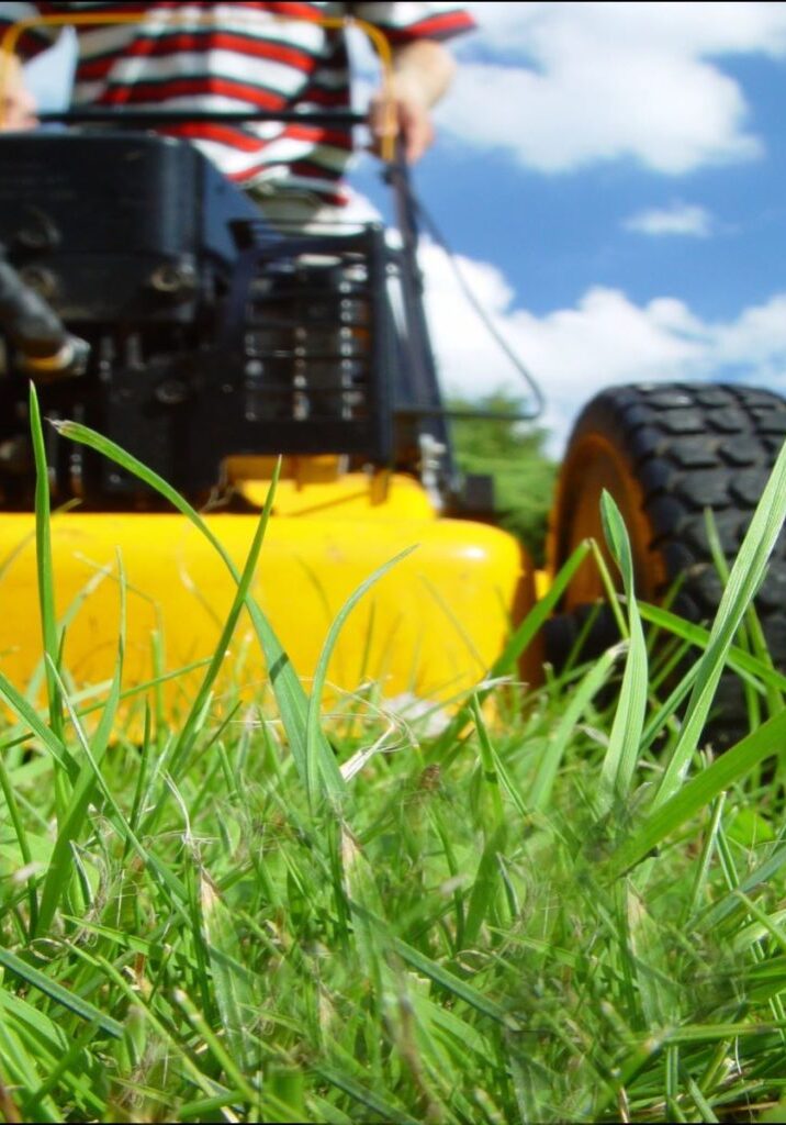 Commercial Lawn Mowing Services For Your Longmont, CO Business