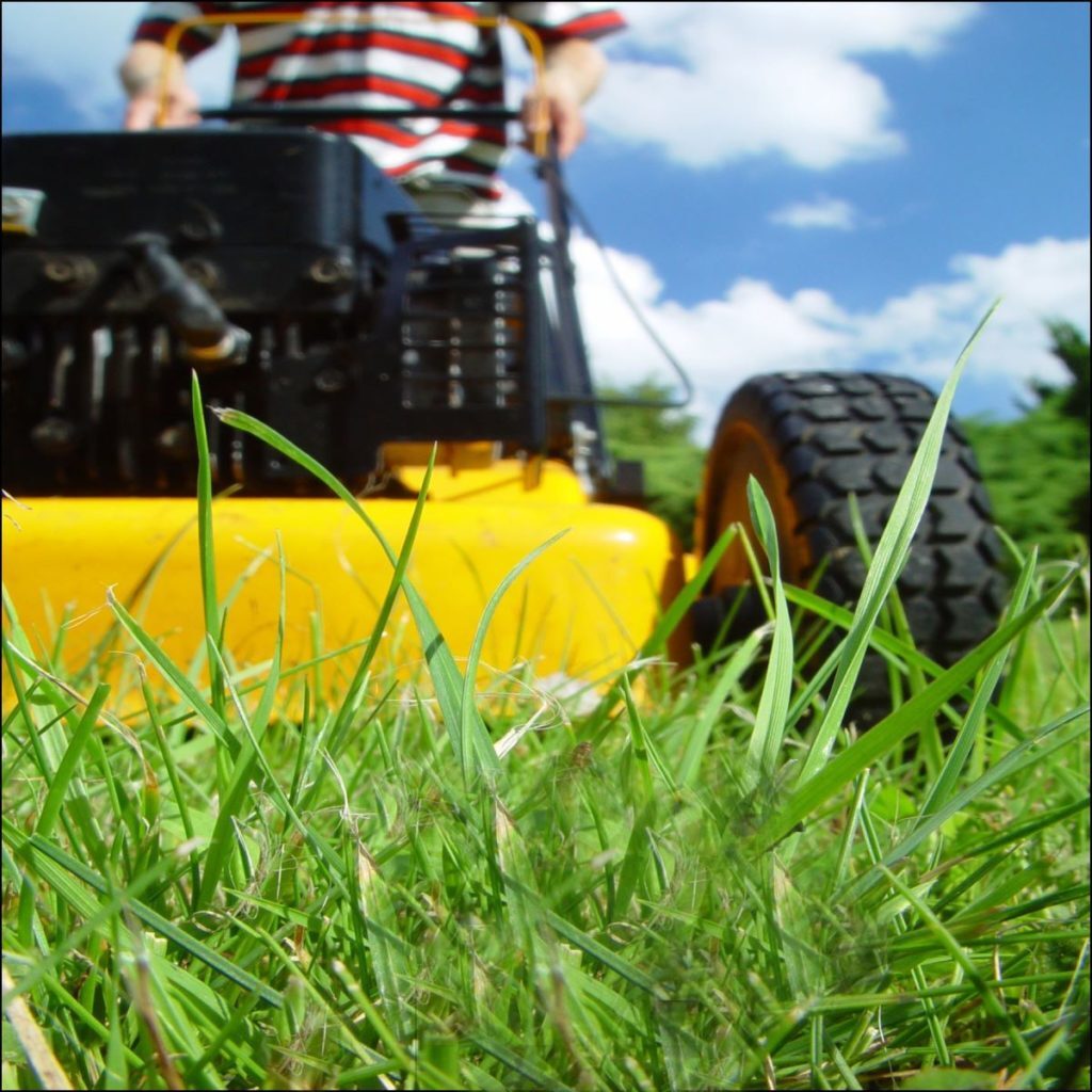 Commercial Lawn Mowing Services For Your Longmont, CO Business