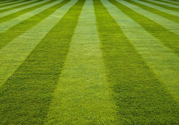 Commercial Lawn Mowing Services for Louisville, CO Businesses